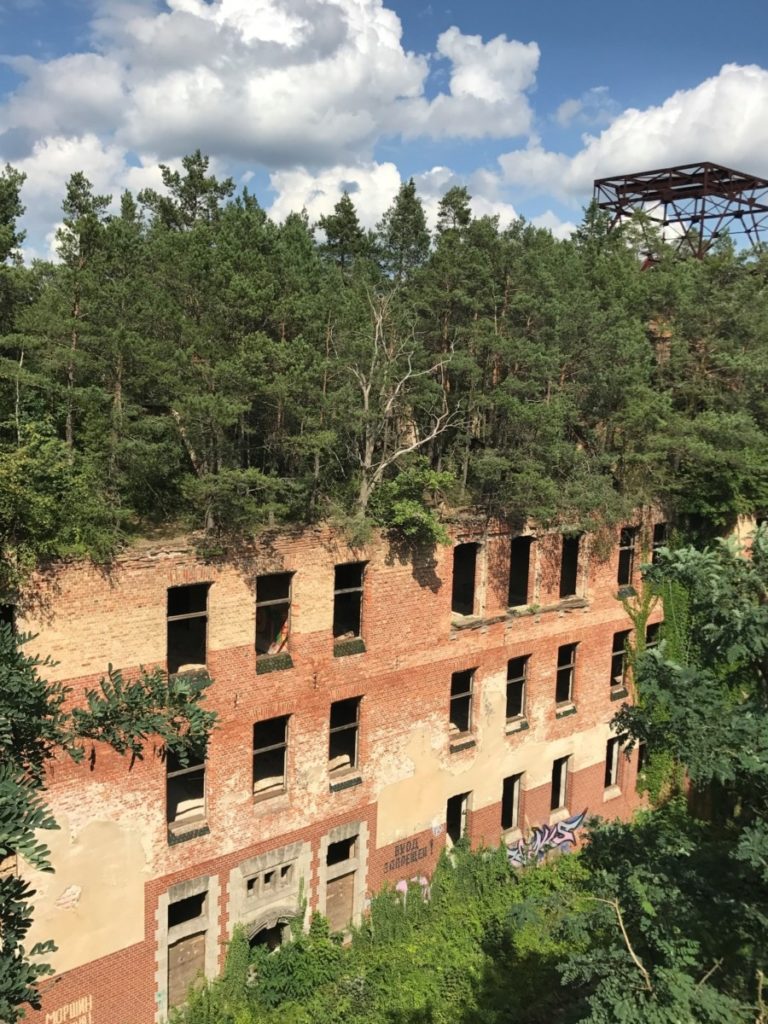 Berlin entdecken Baumwipfelpfad Natur