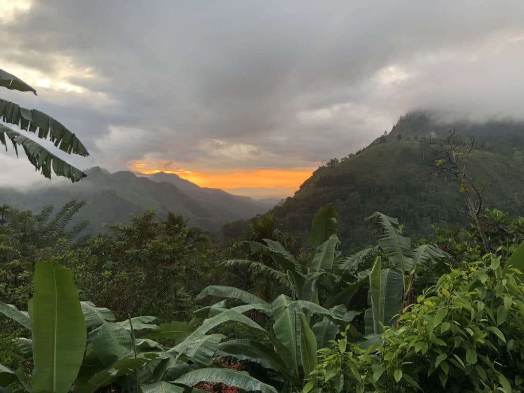 Backpacking Sri Lanka - Berge in Ella