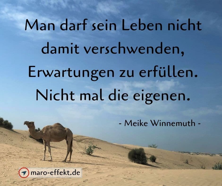 Erwartungen zitate