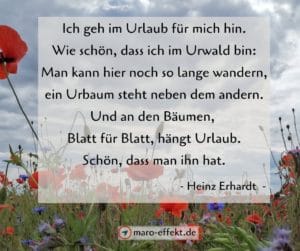 Sprüche Urlaub lustig - Heinz Erhardt Urwald